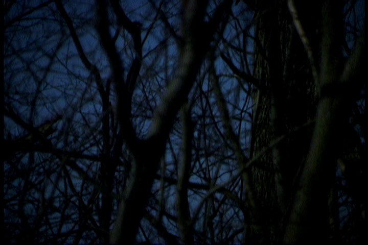 "with other, from elsewhere"