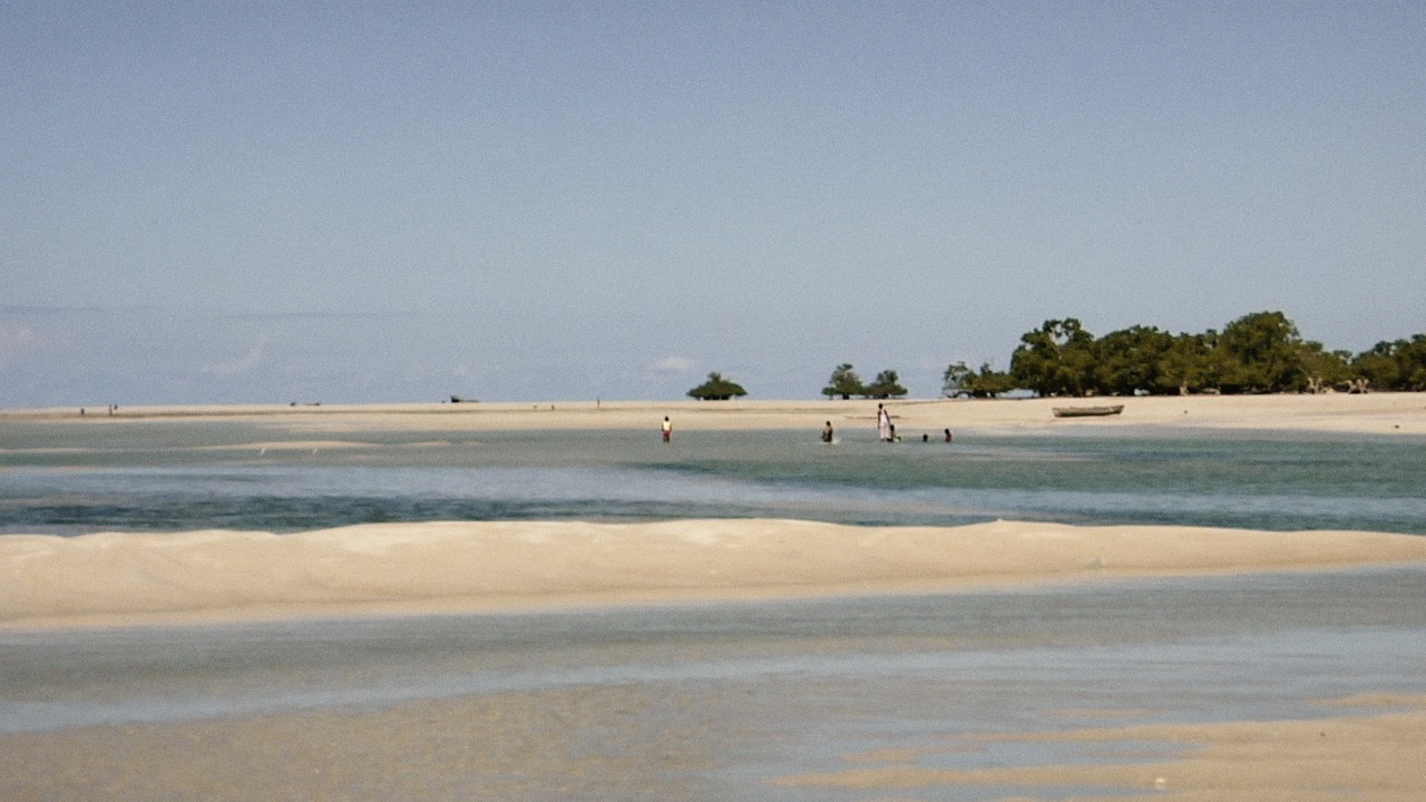 "We observe the past and the future glances back"