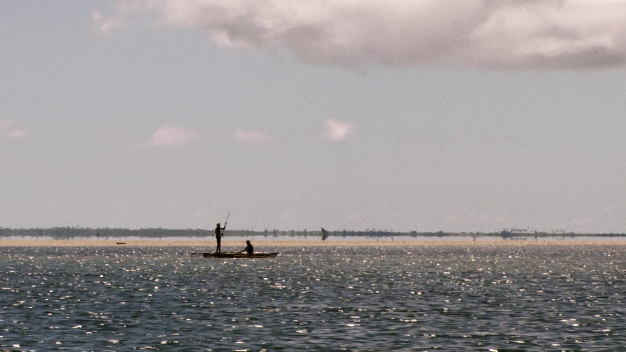 "We observe the past and the future glances back"