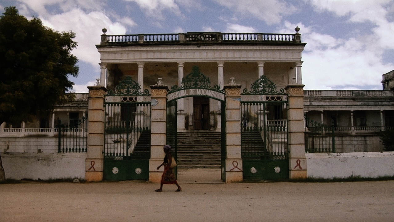 "We observe the past and the future glances back"