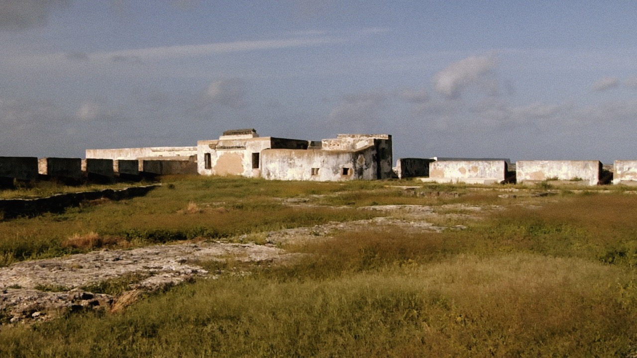 "We observe the past and the future glances back"