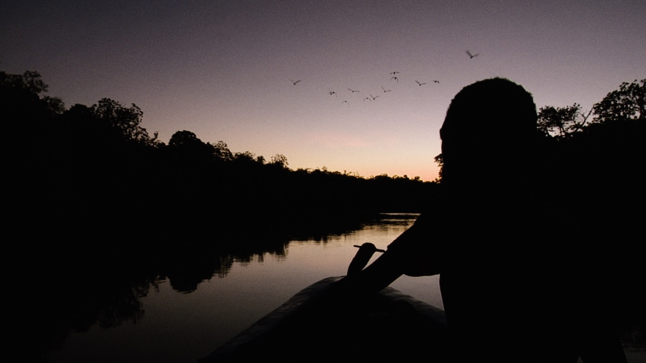 "We observe the past and the future glances back"