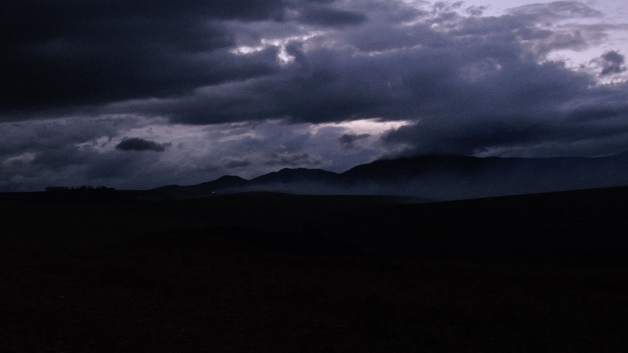 "We observe the past and the future glances back"