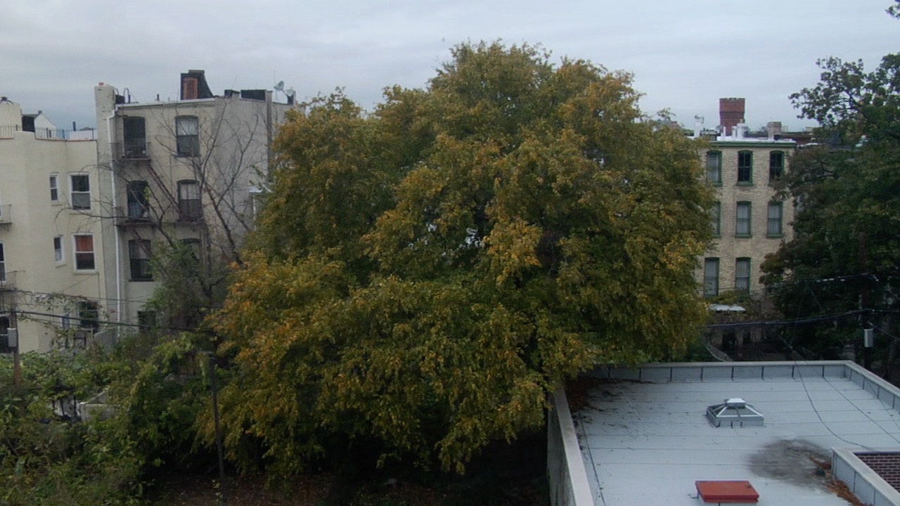 "Calm is the desire of my skin"