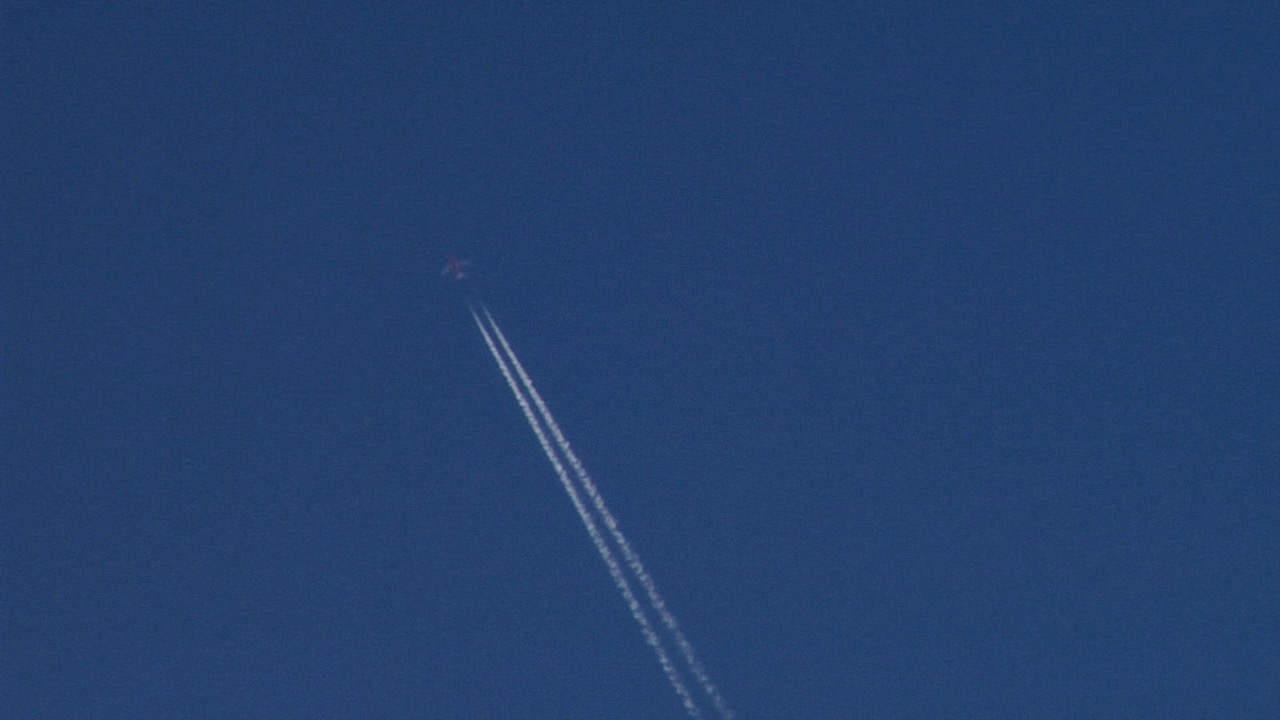 "Calm is the desire of my skin"