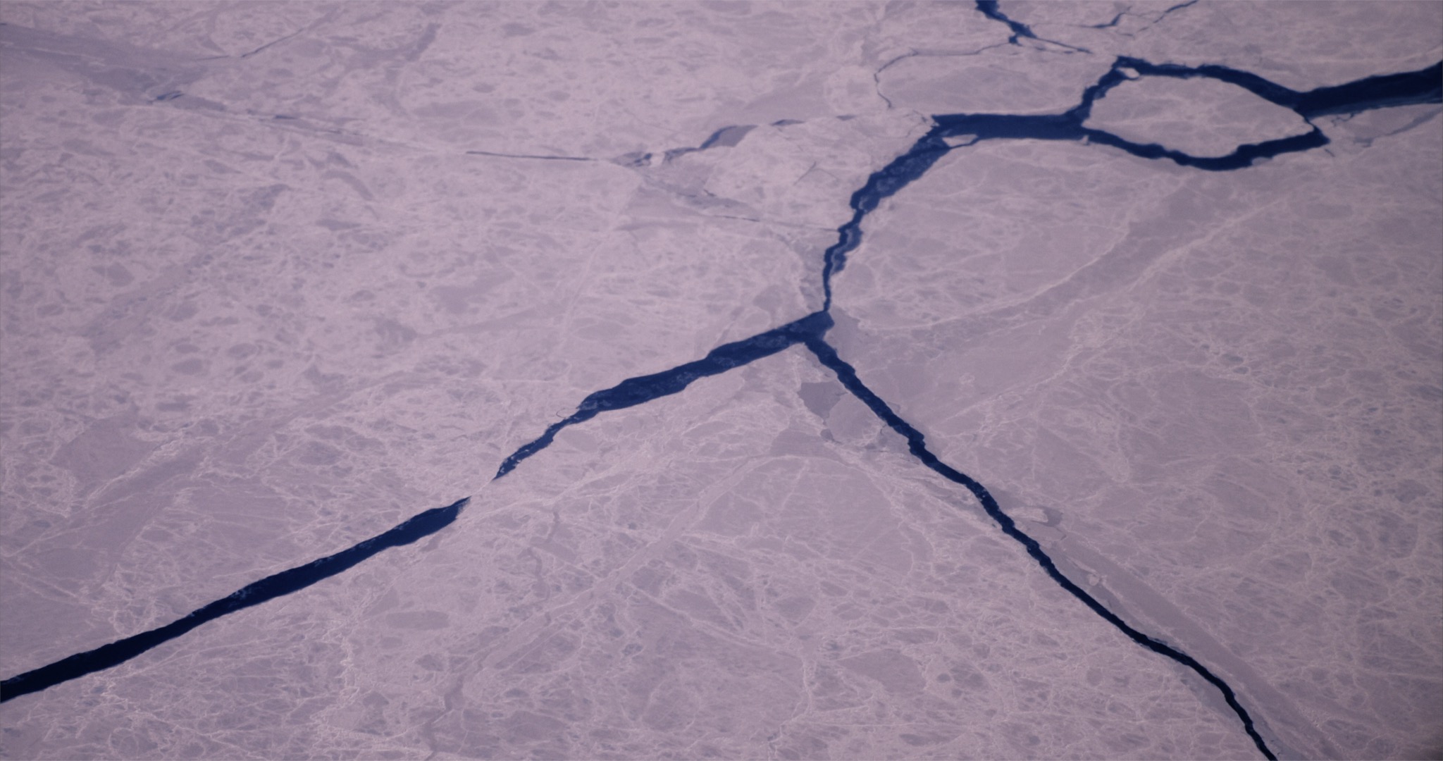 The Cosmological Glasse