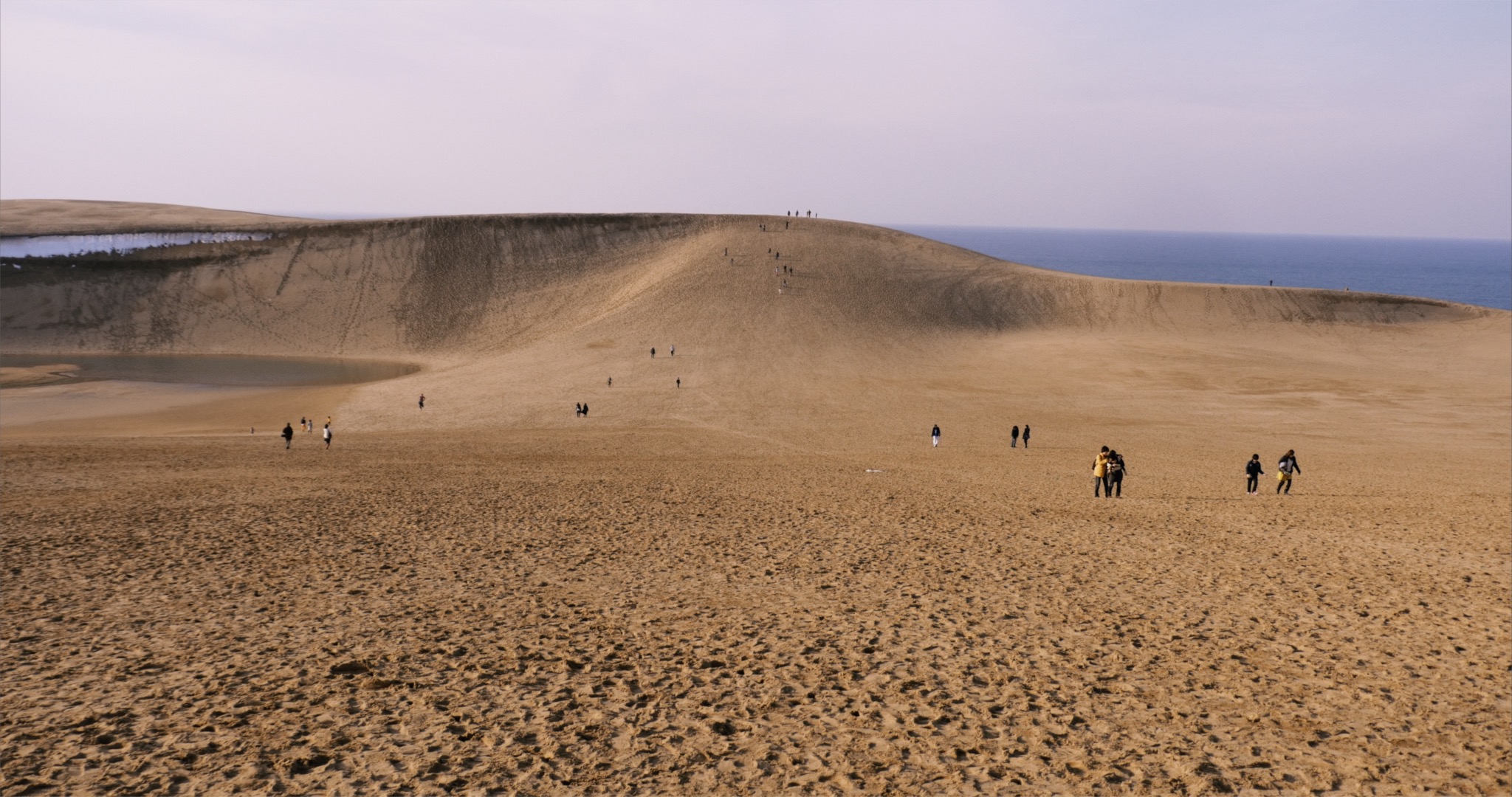 The Cosmological Glasse