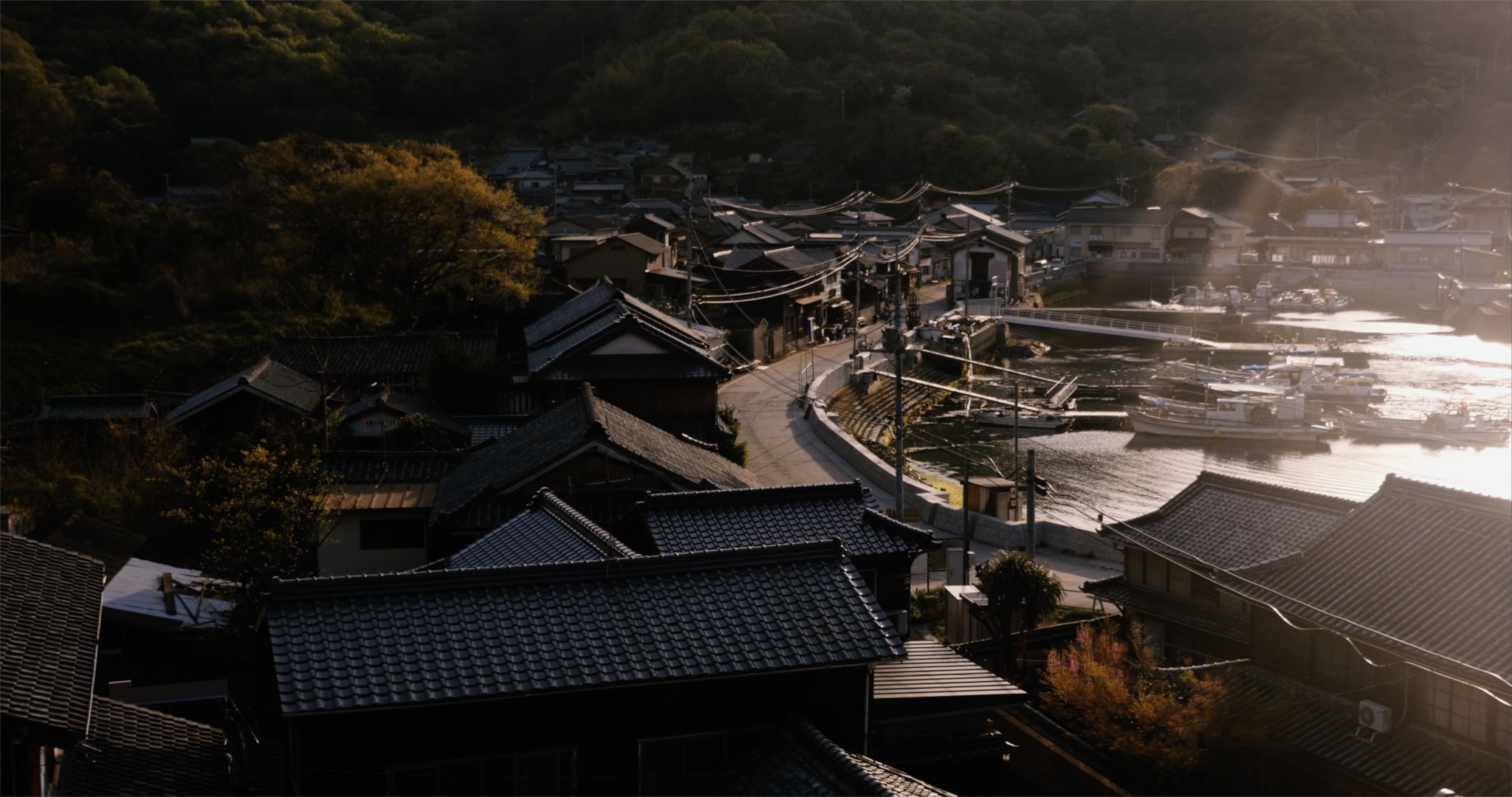 The Cosmological Glasse