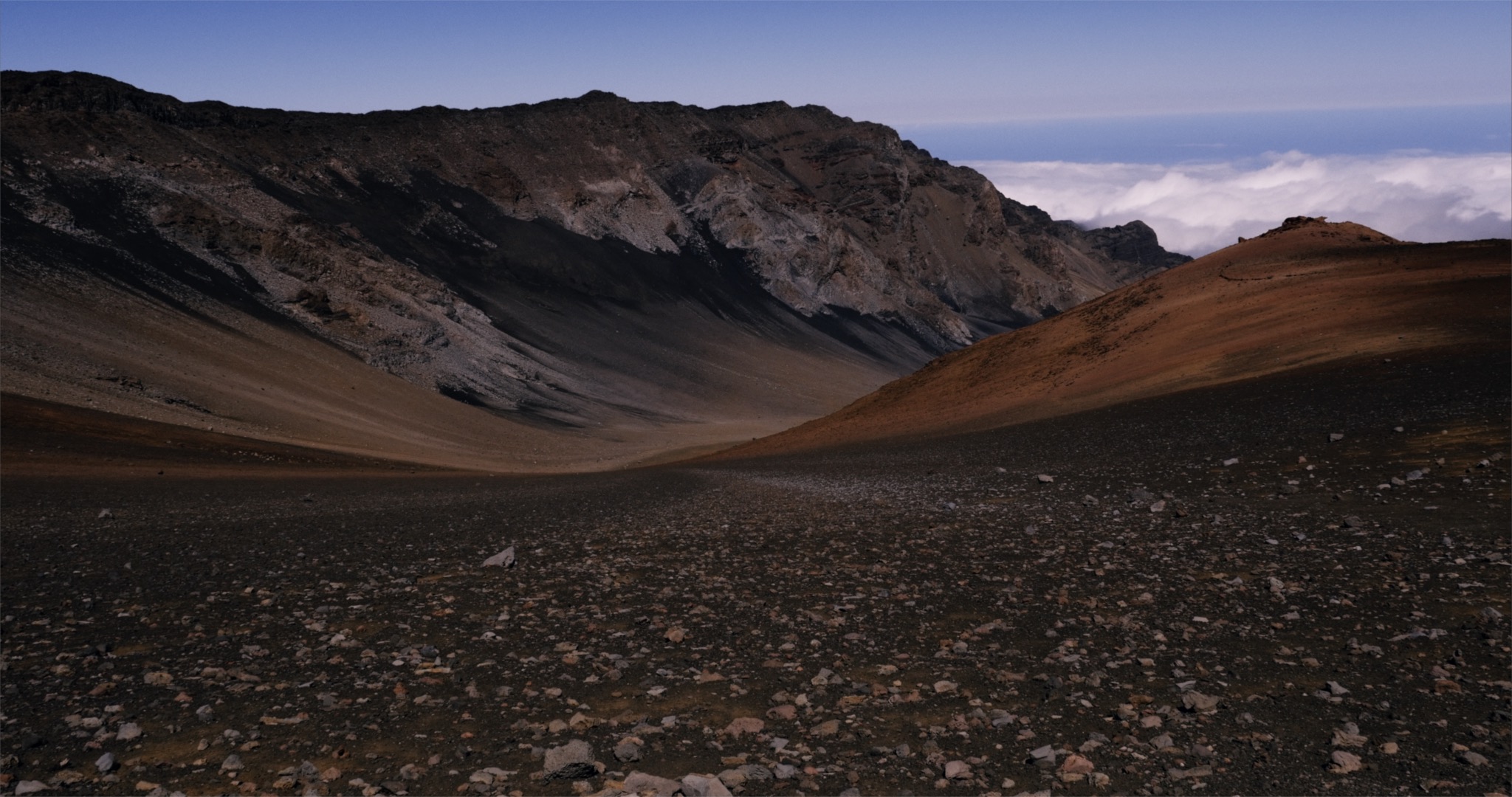 The Cosmological Glasse