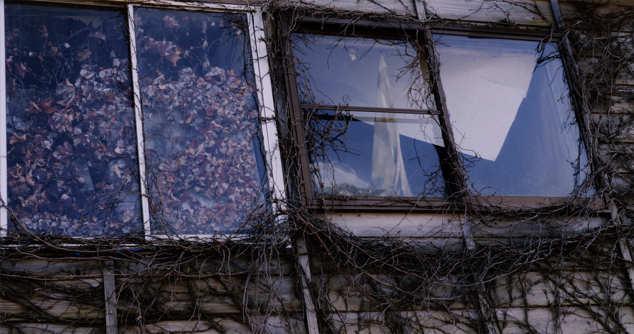 The Cosmological Glasse