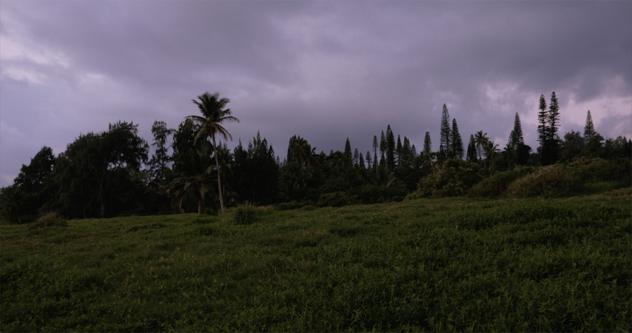 The Cosmological Glasse