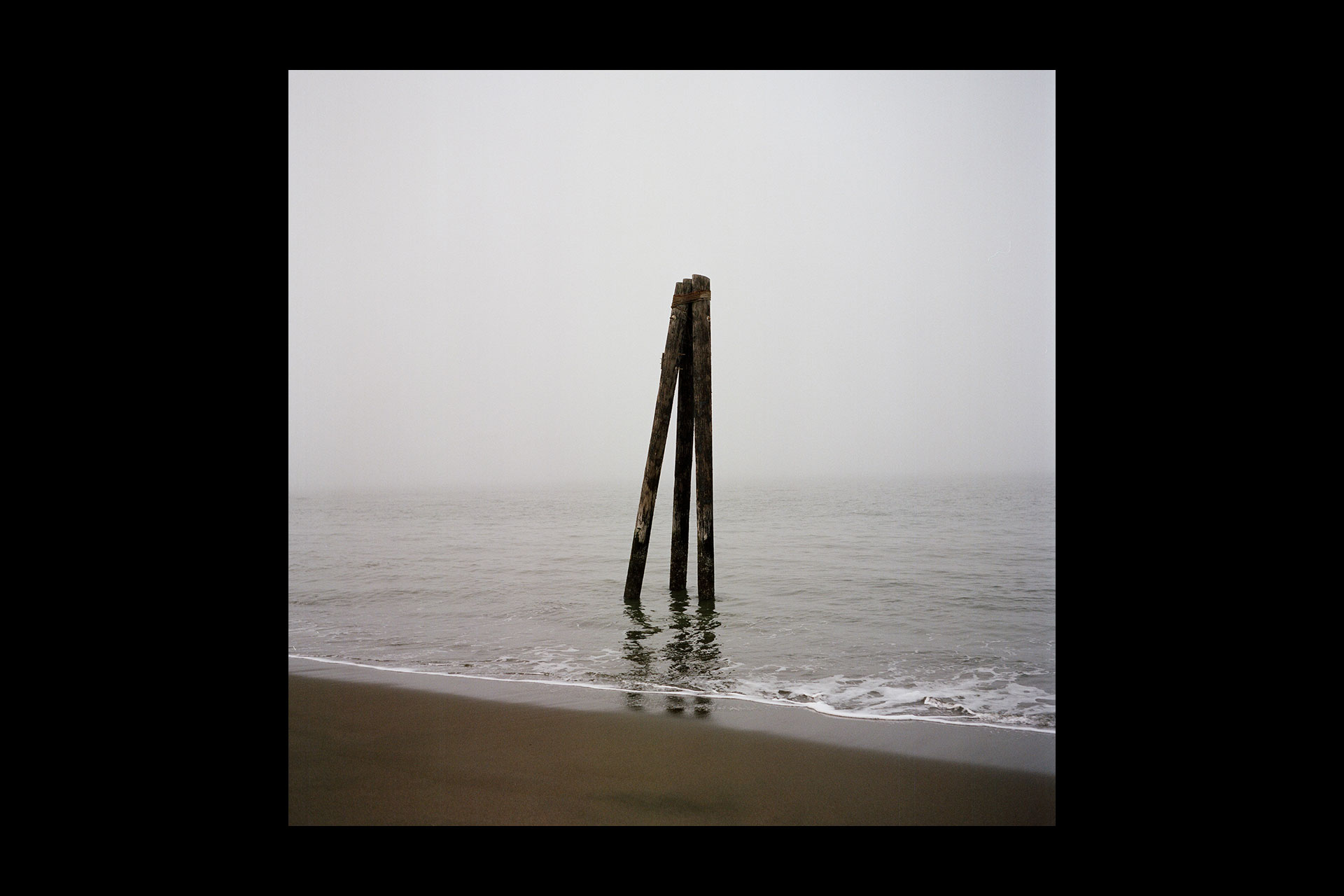 The Cosmological Glasse