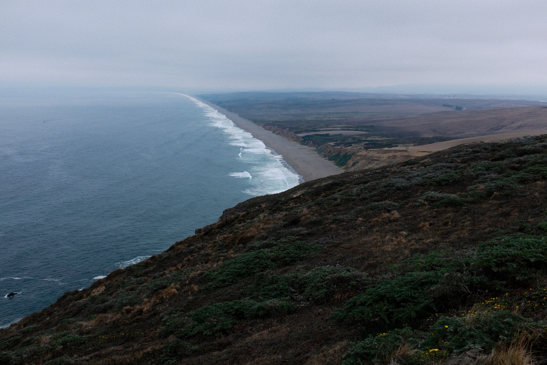 The Cosmological Glasse